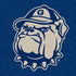 Georgetown University Jack the Bulldog Mascot Steam Deck Handheld Gaming Computer Skin